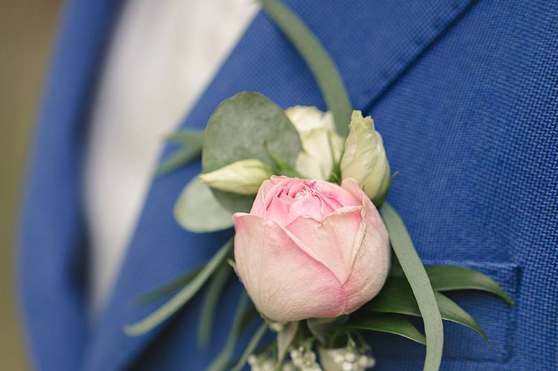 Plus de Fleurs