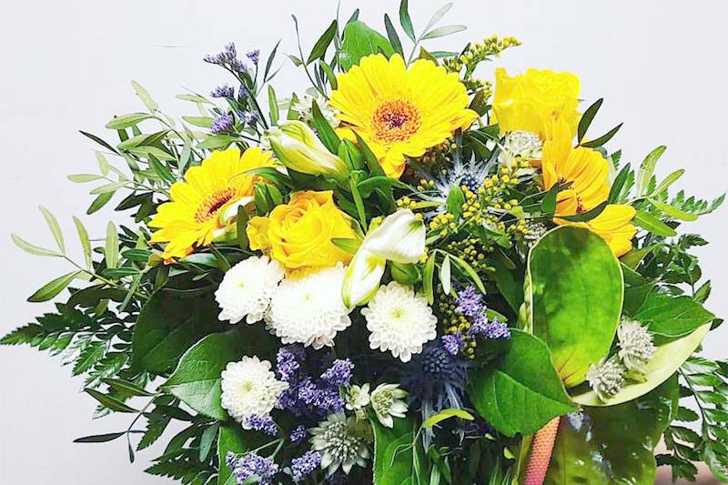 Plus de Fleurs