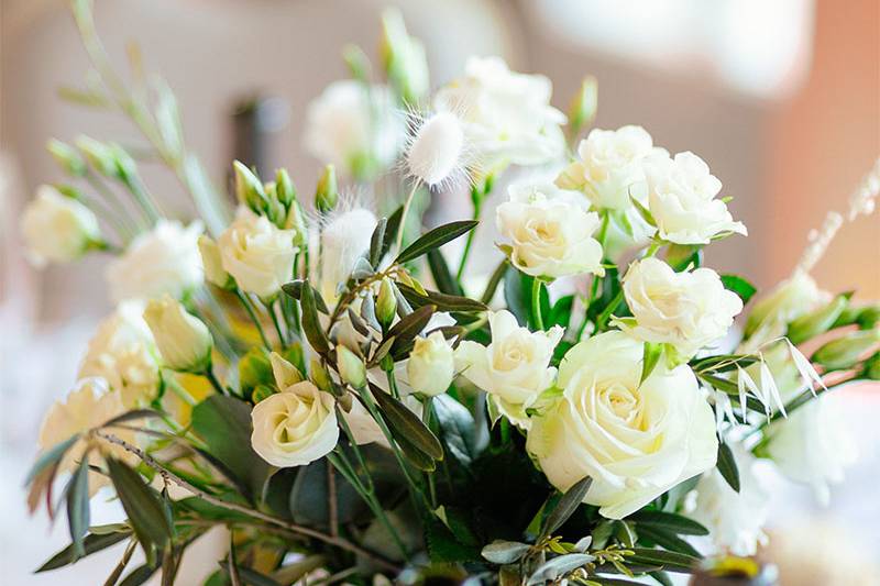 Plus de Fleurs