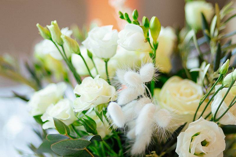 Plus de Fleurs