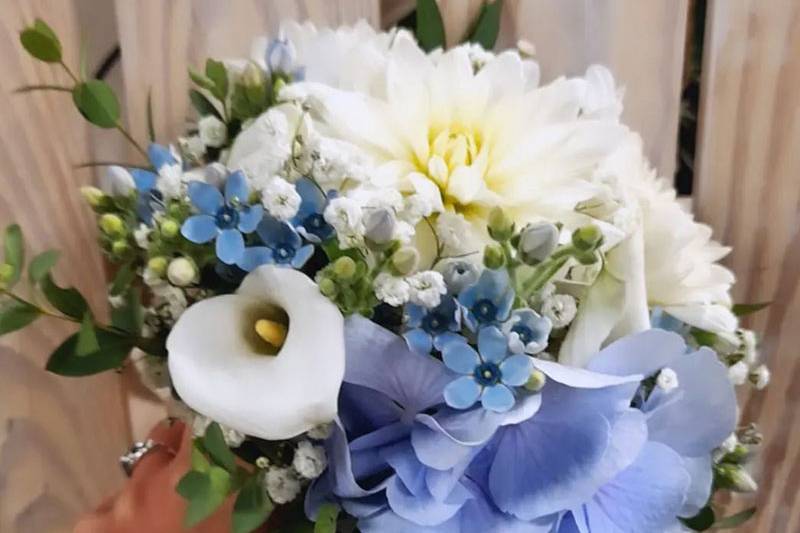 Plus de Fleurs