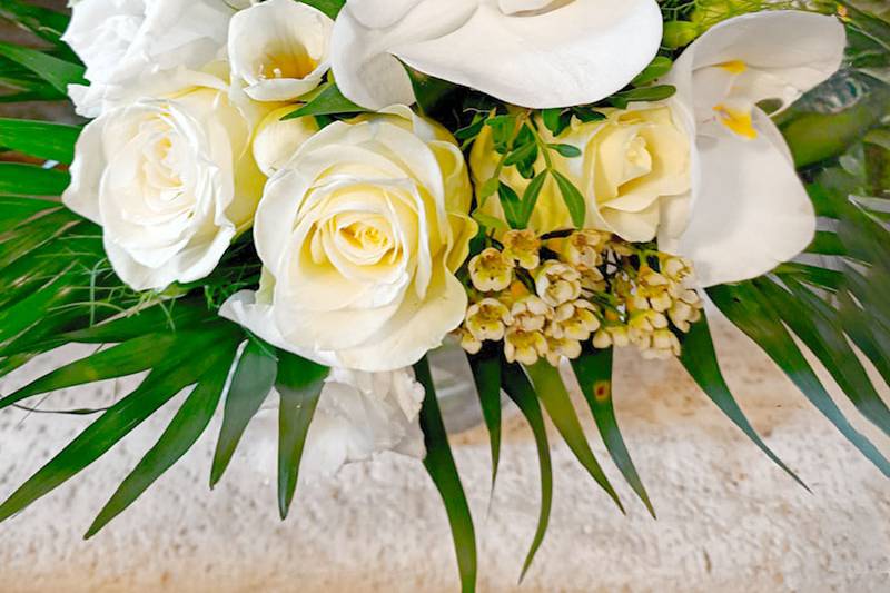 Plus de Fleurs