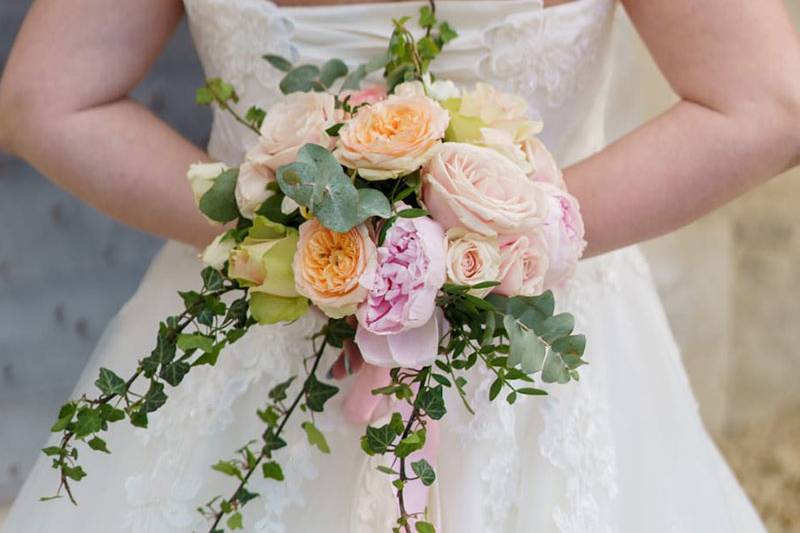 Plus de Fleurs