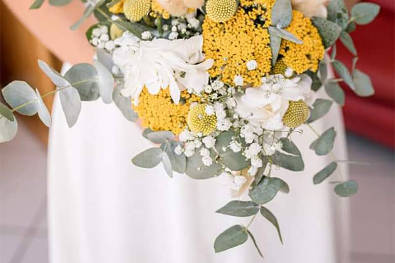 Plus de Fleurs