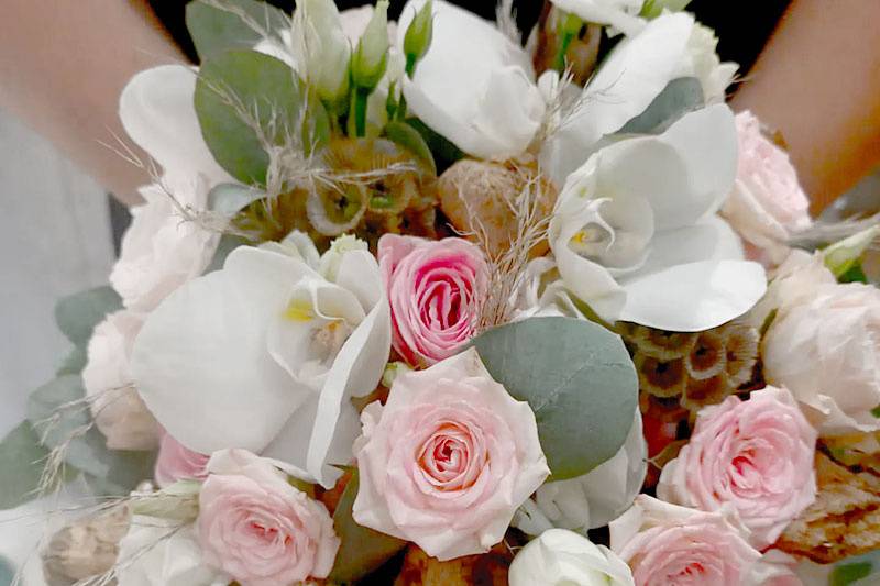 Plus de Fleurs