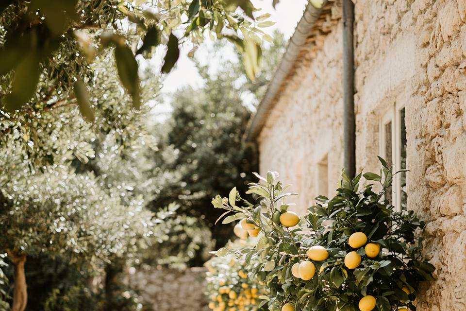 L'Atelier des Beaux Jours