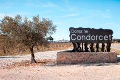 Domaine Condorcet