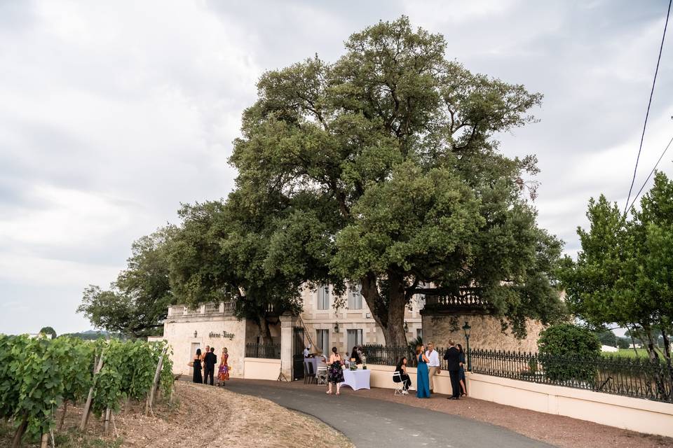 Un château de la fin du 19ème