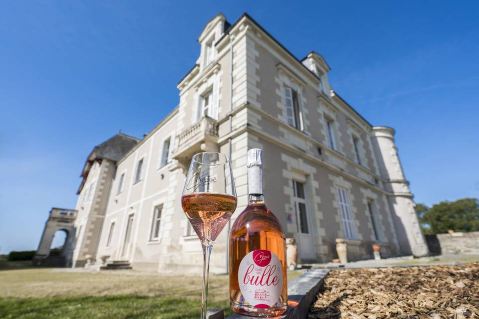 Chateau Piéguë