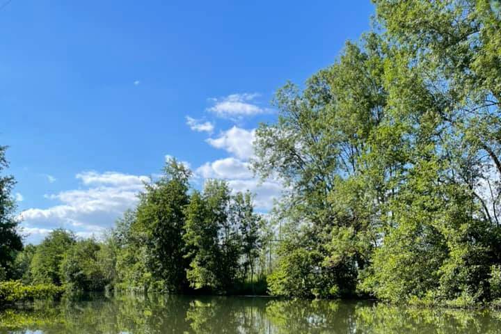 La Charente depuis le domaine