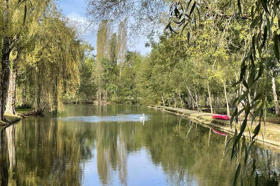 La Charente depuis le domaine