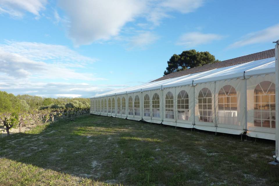 Barnum dans les vignes