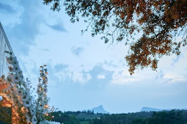 Vue sur vignes