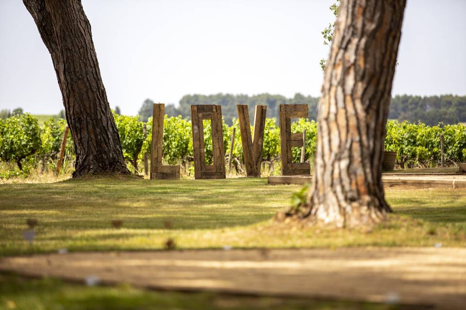 LOVE sur les vignes