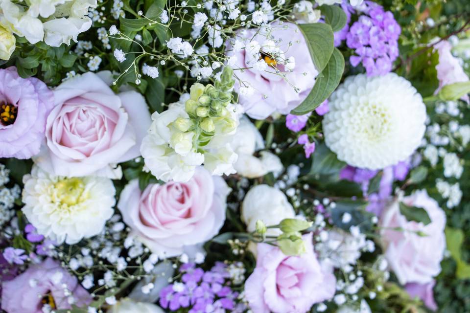 Fleurs