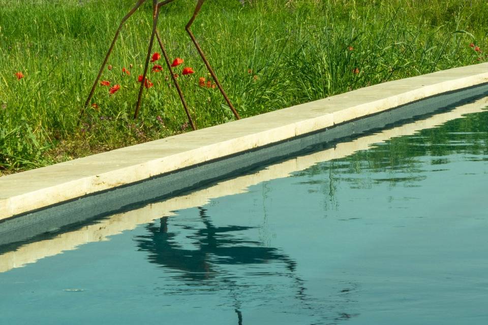 Piscine couloir de nage