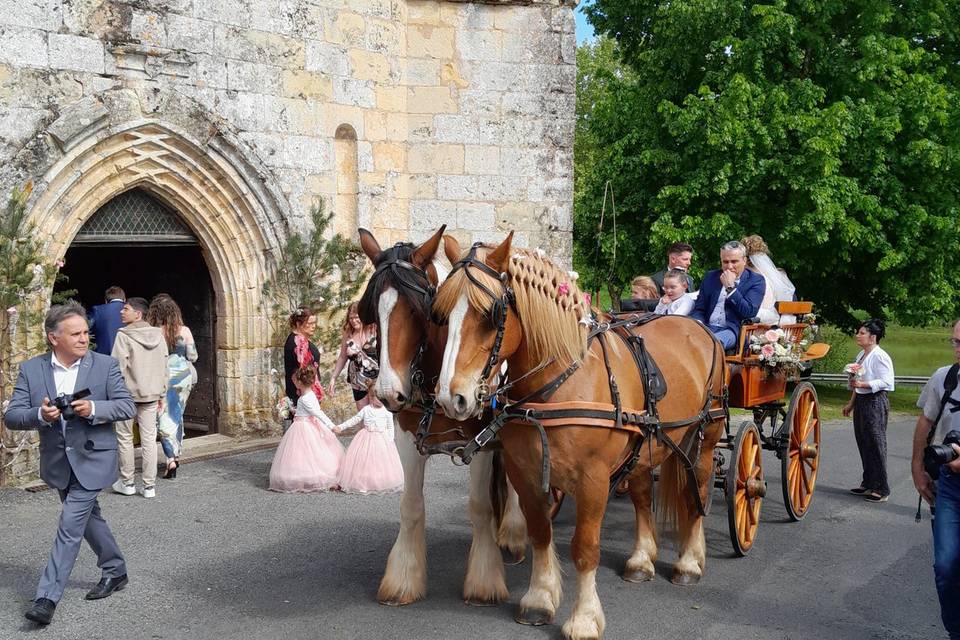 Mariage calèche La Douze