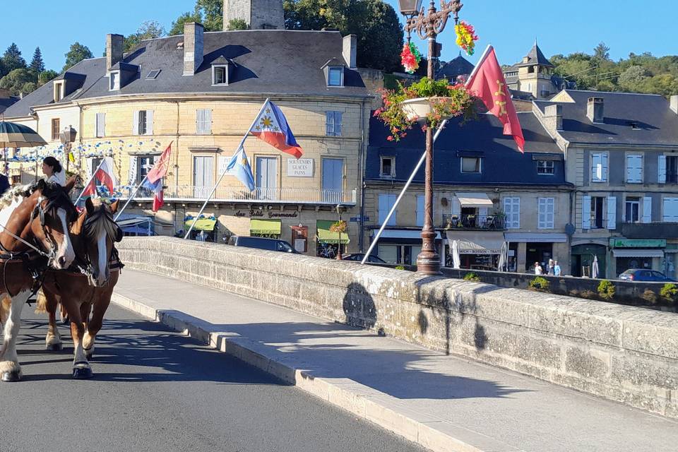 Le Périgord en calèche