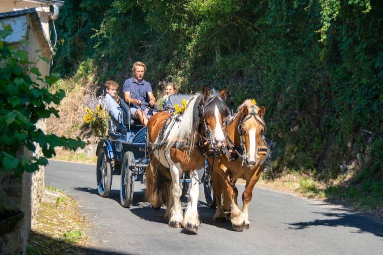 Calèche en Dordogne