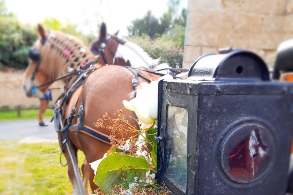 Mariage en calèche dans le Périgord