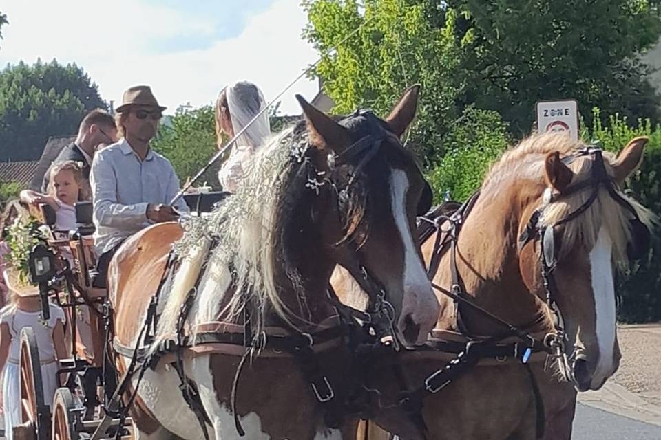 Mariage calèche les Eyzies