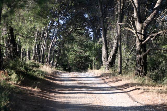 Domaine Saint Paul le Marseillais