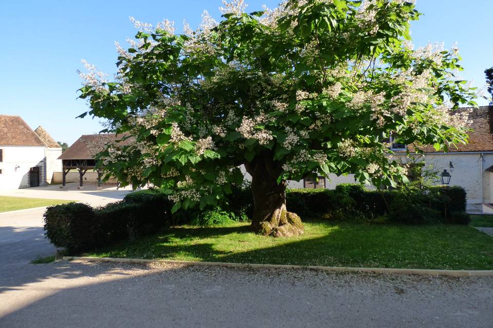 Le Manoir de Hauterive