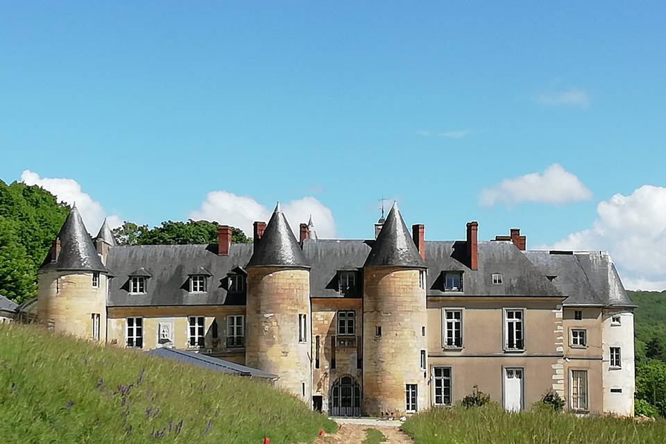 Le Château de Vaux-sur-Seine