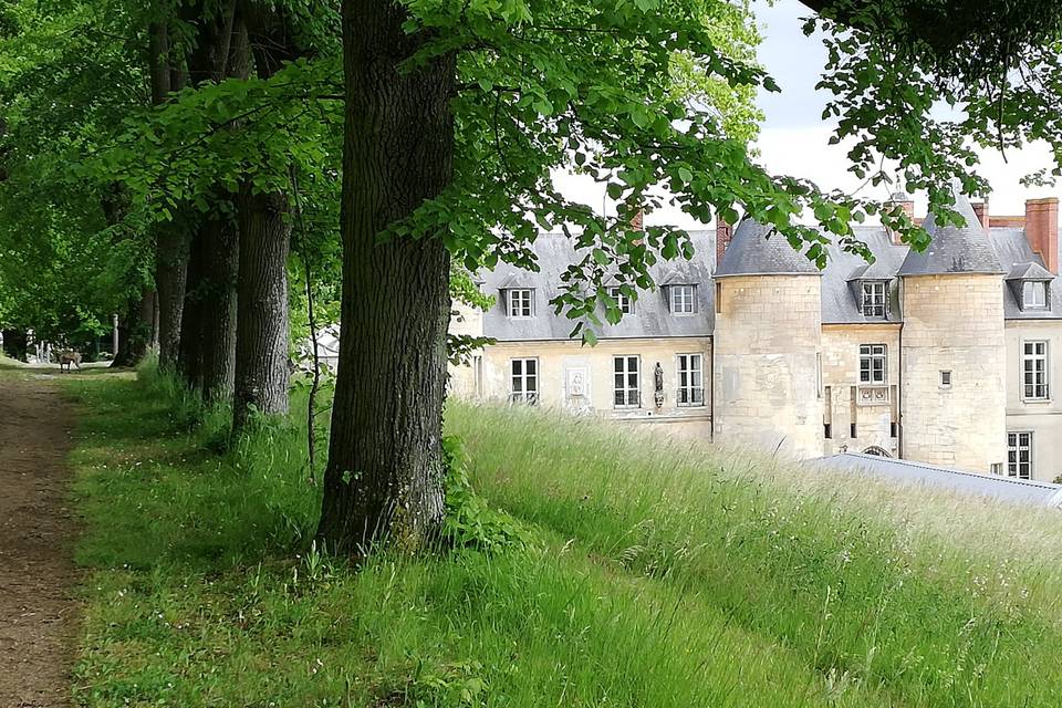 Le château depuis l'allée