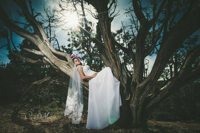Séance Trash The Dress