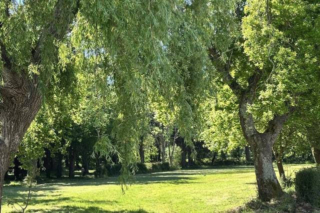 Le parc si romantique