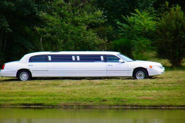 Limousine