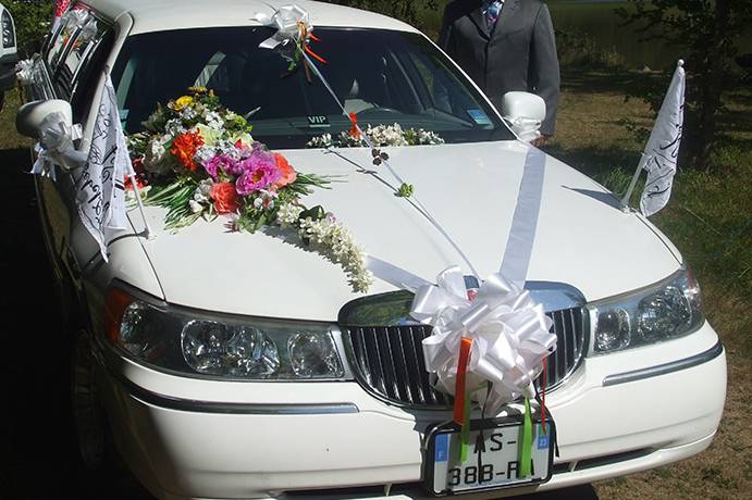 Aubusson American Limousine Service