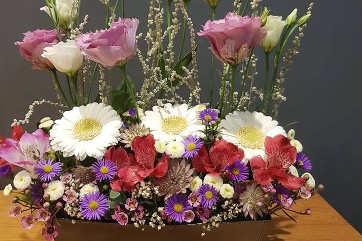 Pivoine et Caudalie
