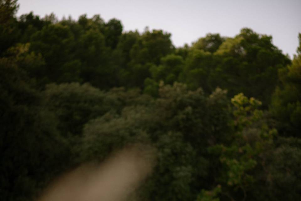 Esthétique naturelle et poétique