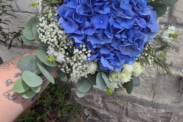 Blanc et bleu