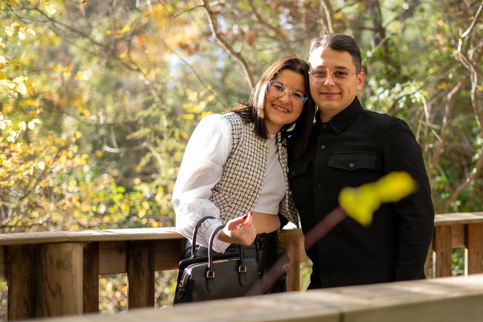 Couple sur un petit pont