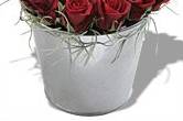 Bouquet pot aux roses