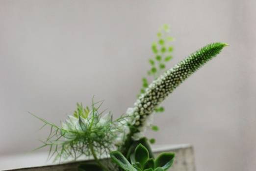 Boutonnière