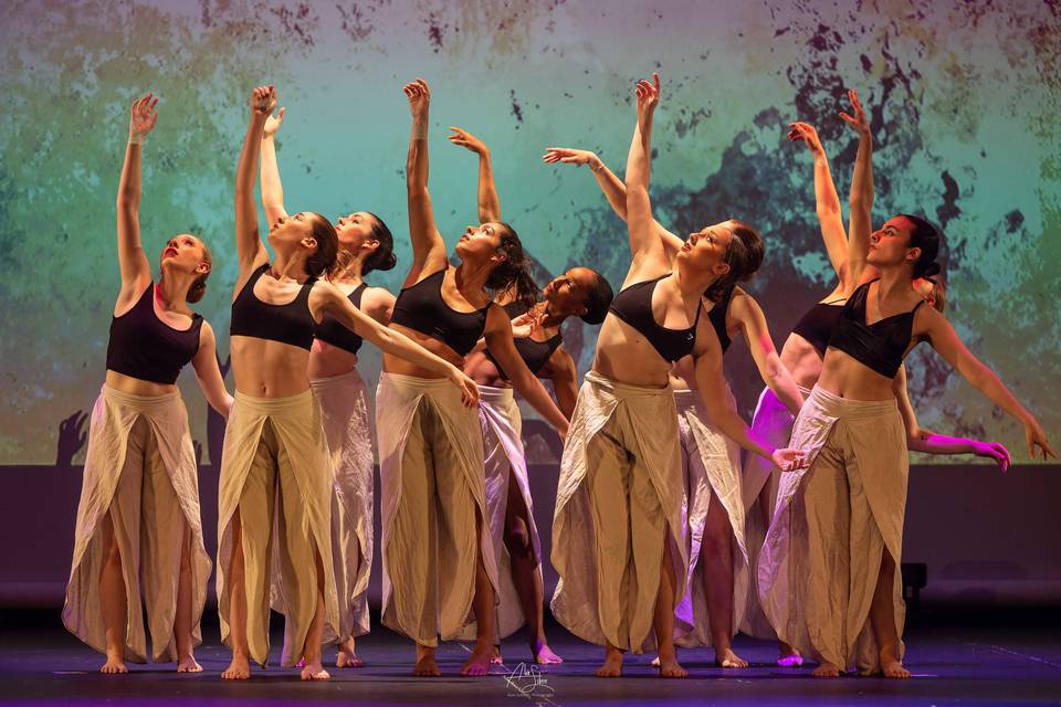Tran'sensdanse