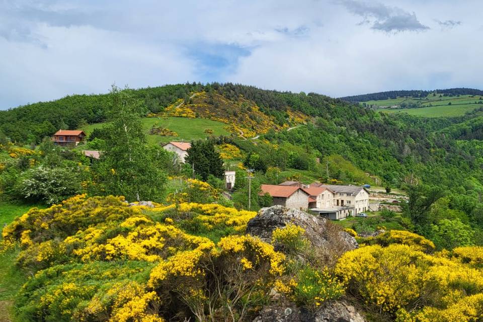 Vue d'ensemble