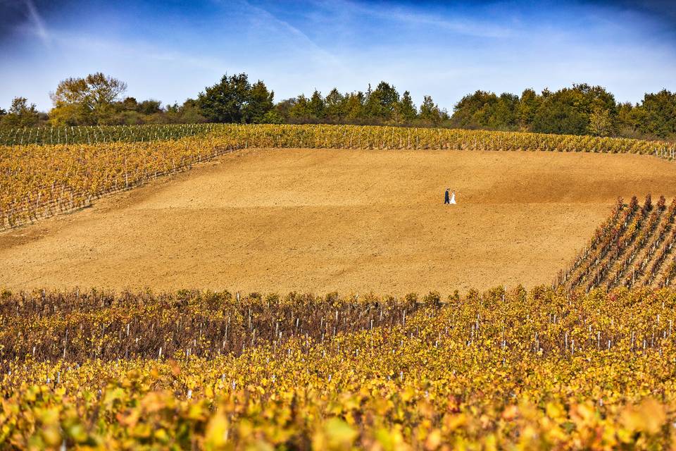 Moroges en Bourgogne