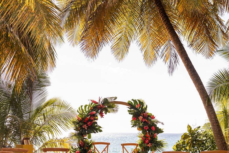 Tropical one