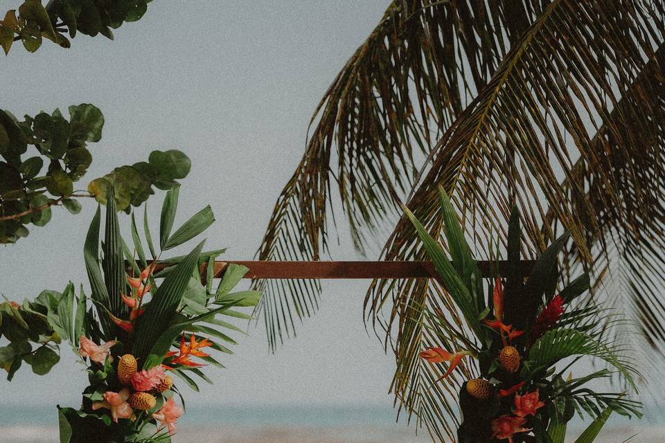 Tropical one