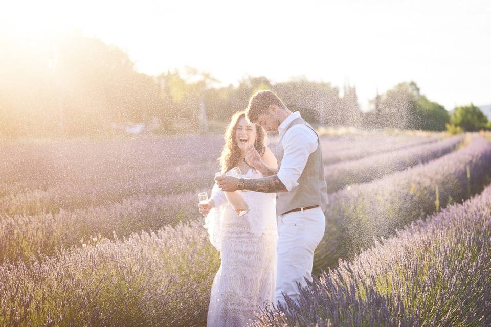 Lavande en provence