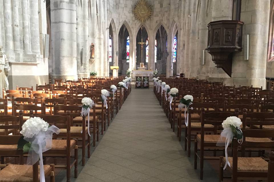 Allée d'église Hortensia