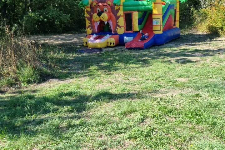 Multiplay lion