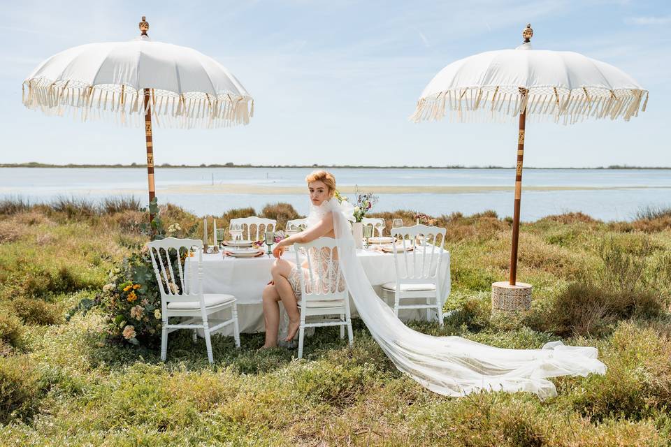 Table en camargue
