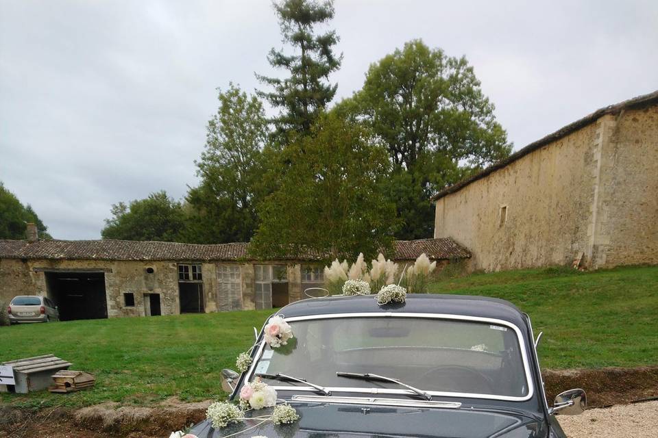 Mariage sur le thèmes chic