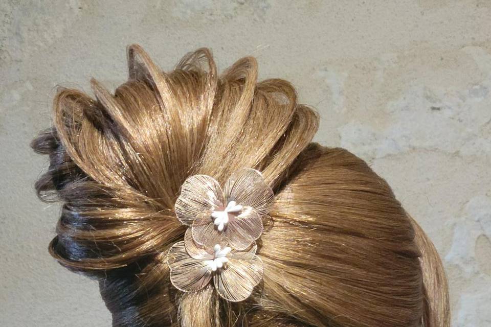 Chignon 3D